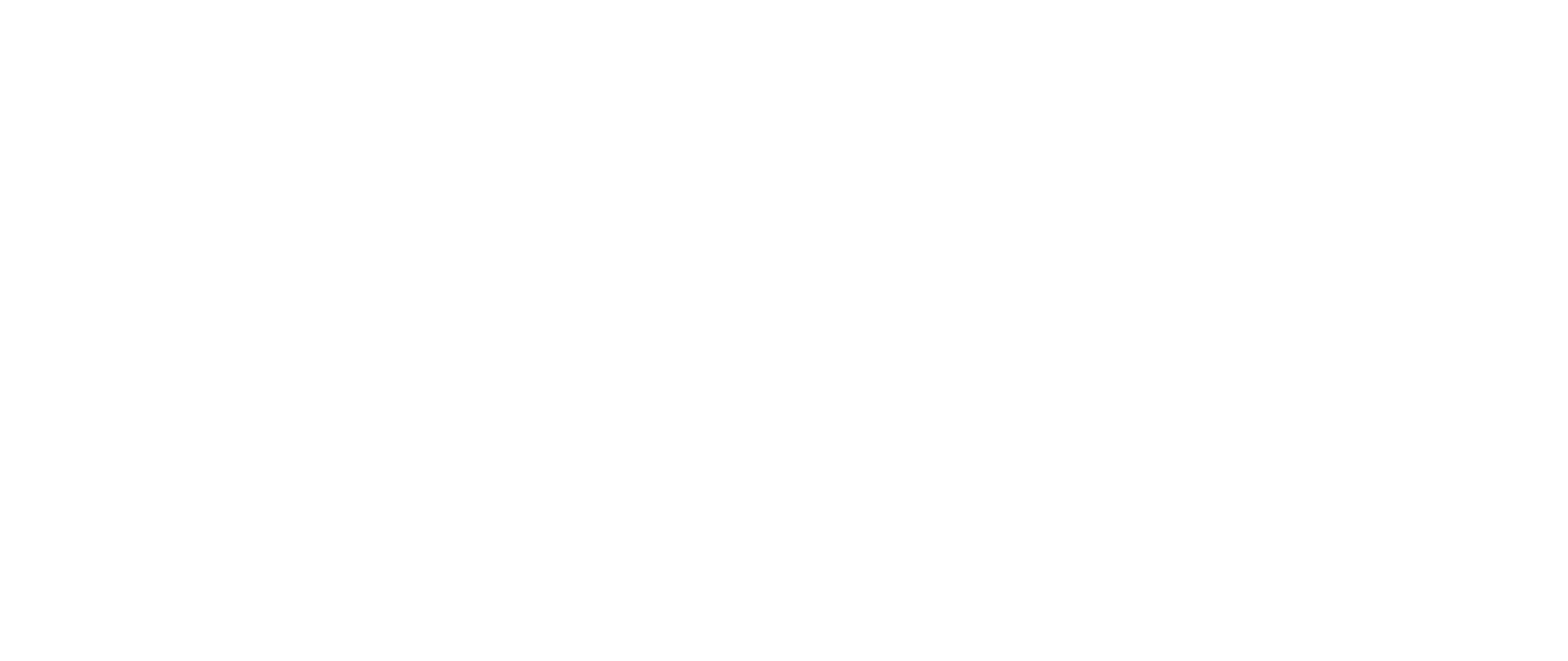 Alex Puig Ros